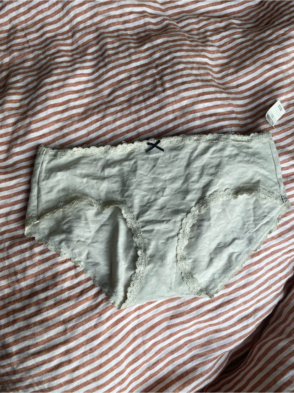 aerie NWT Soft Mint Green Heart Meshy Boybrief
